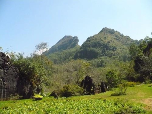 Hoà Bình chỉ định thầu dự án Khu dân cư núi Đầu Rồng hơn 300 tỉ Hoà Bình chỉ định thầu dự án Khu dân cư núi Đầu Rồng hơn 300 tỉ