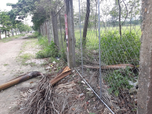 Nghệ An: 3,7 ha đất vàng” giữa TP Vinh sau 15 năm quy hoạch vẫn bỏ hoang Nghệ An: 3,7 ha đất vàng” giữa TP Vinh sau 15 năm quy hoạch vẫn bỏ hoang