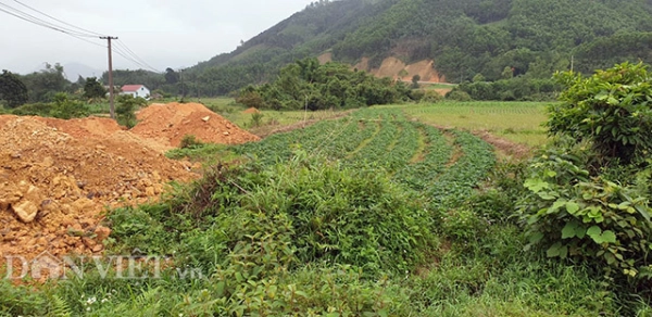 Quảng Ninh: Lấp đất nông nghiệp tràn lan ở bản biên giới