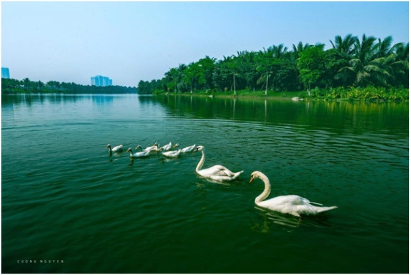 Dự án căn hộ cao cấp nhất Ecopark có hồ cảnh quan hơn 50 ha