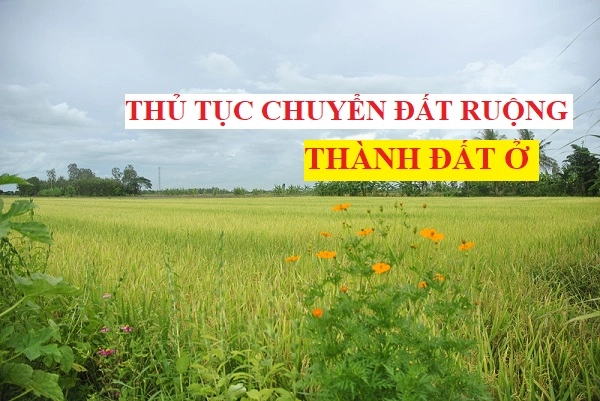 Thủ tục chuyển đổi mục đích sử dụng đất ruộng thành đất ở? Thủ tục chuyển đổi mục đích sử dụng đất ruộng thành đất ở?