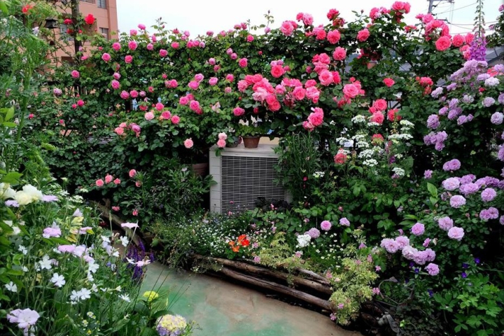 Vườn hoa sân thượng đẹp cho nhà phố - CafeLand.Vn
